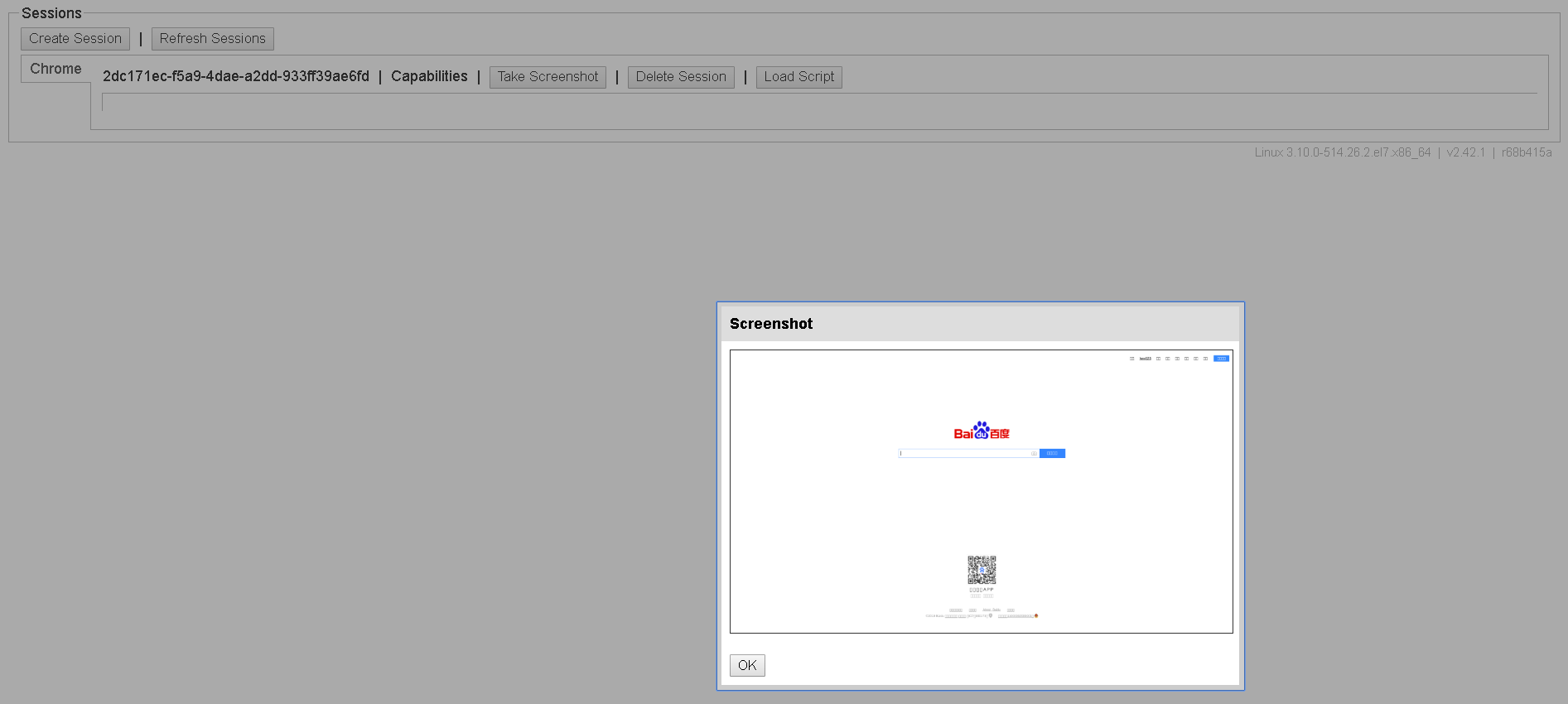 remote-headless-chrome-screenshot